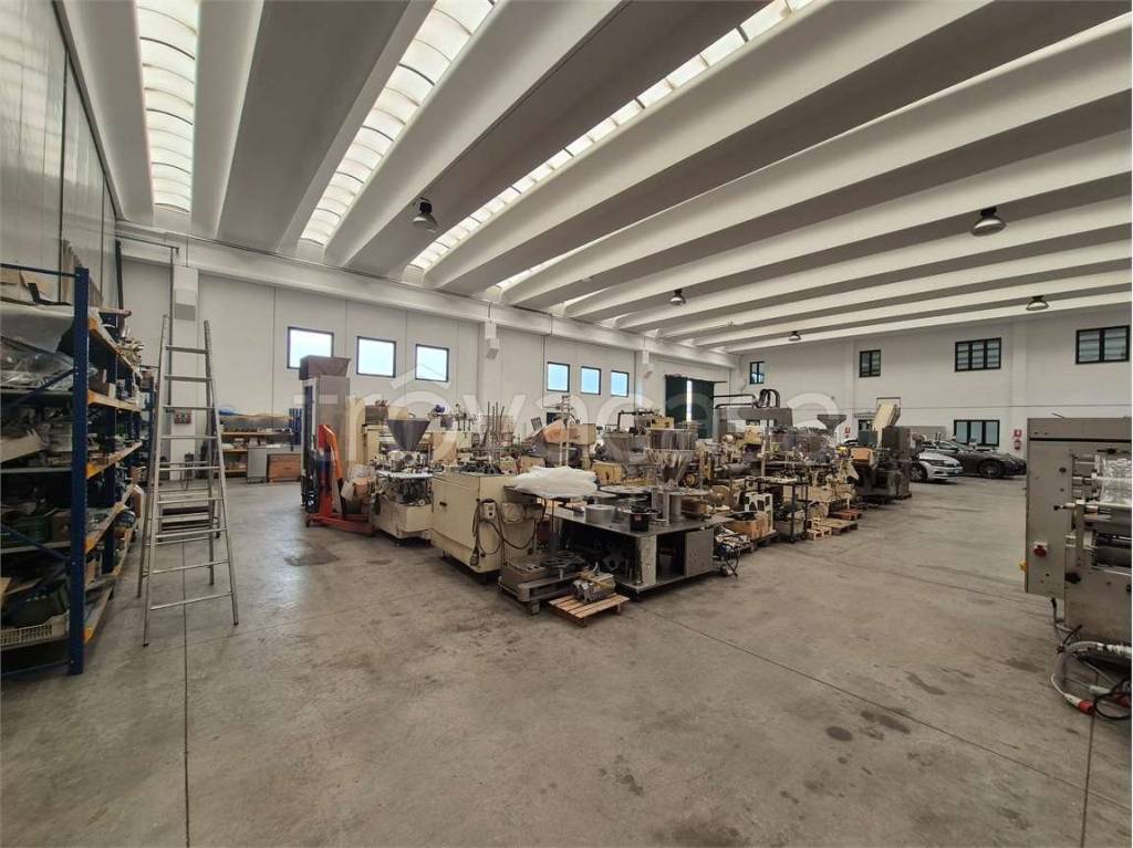 immagine annuncio 10 di 13