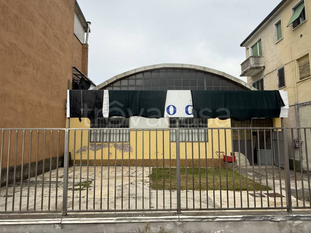immagine annuncio 8 di 11