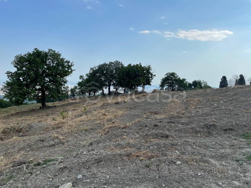 immagine annuncio 2 di 6