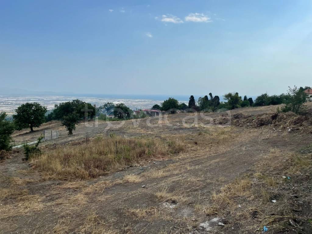 immagine annuncio 3 di 6