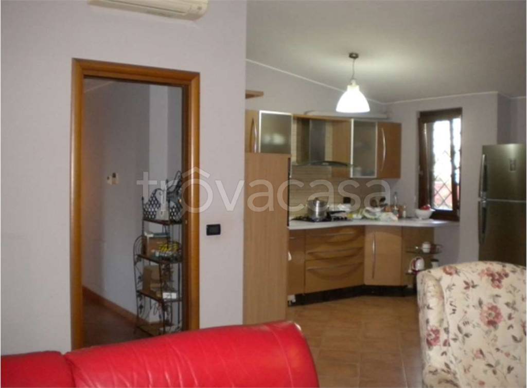immagine annuncio 3 di 11