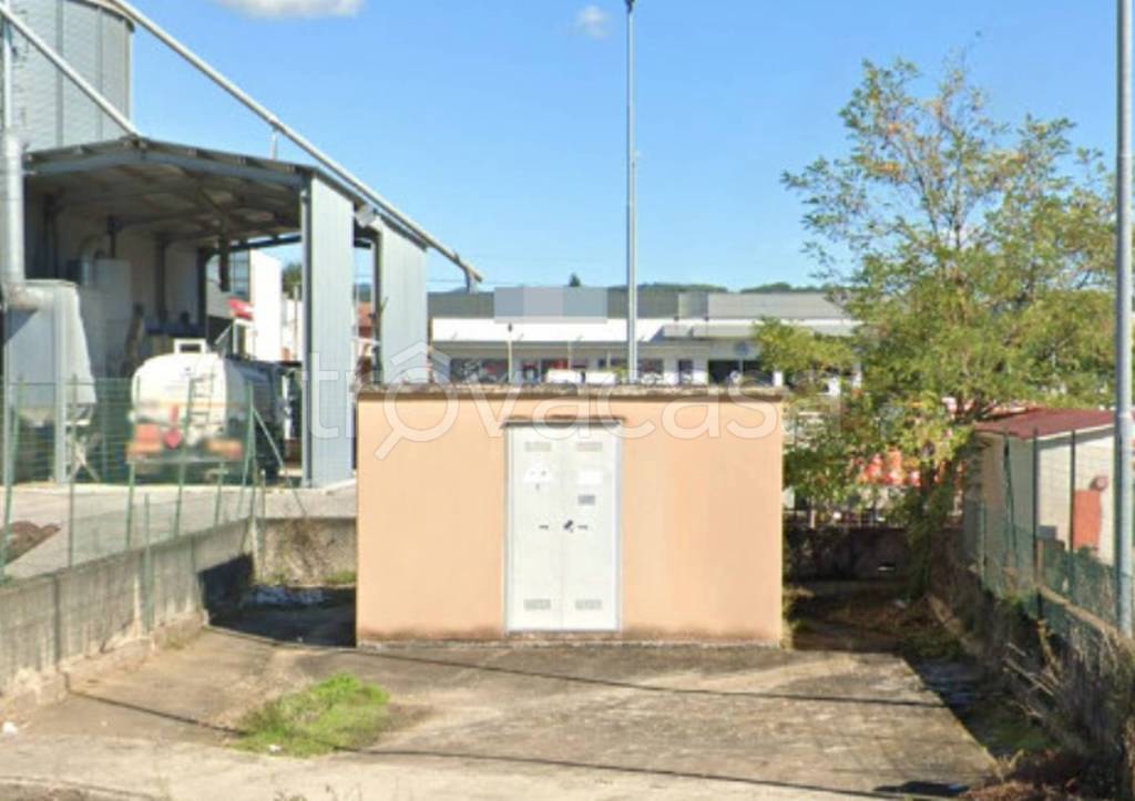 immagine annuncio 3 di 11