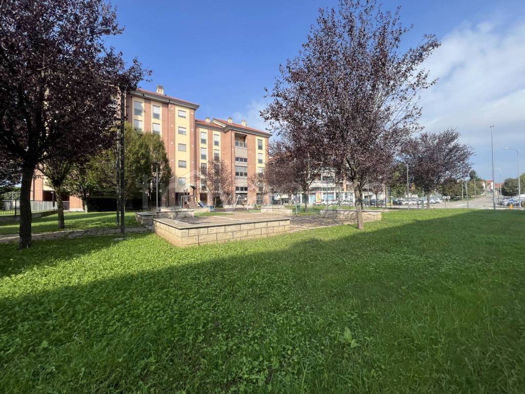 immagine annuncio 1 di 15