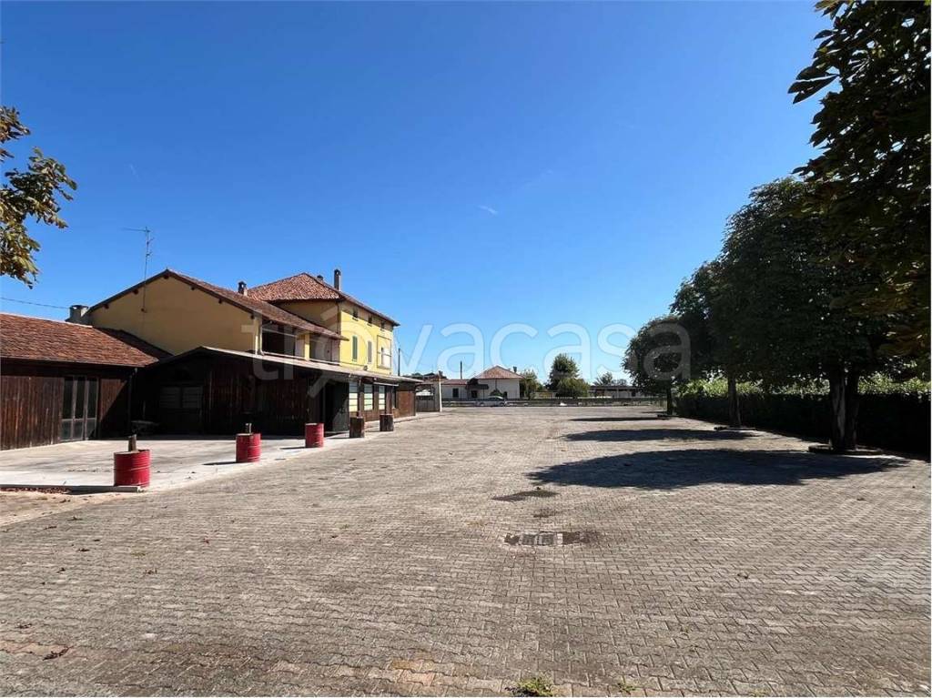 immagine annuncio 5 di 15