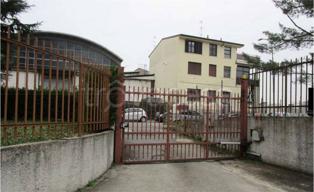 immagine annuncio 10 di 14