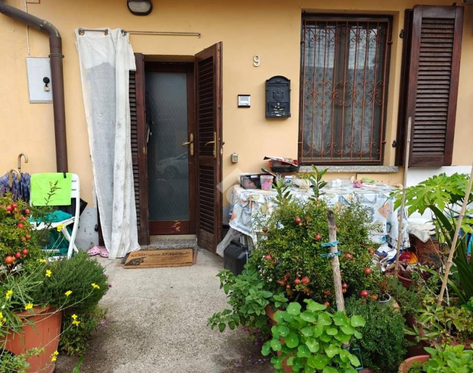 immagine annuncio 1 di 12