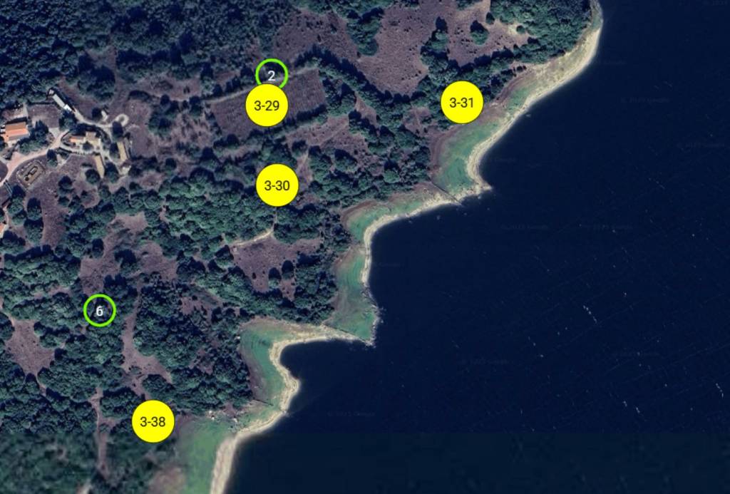 immagine annuncio 9 di 11