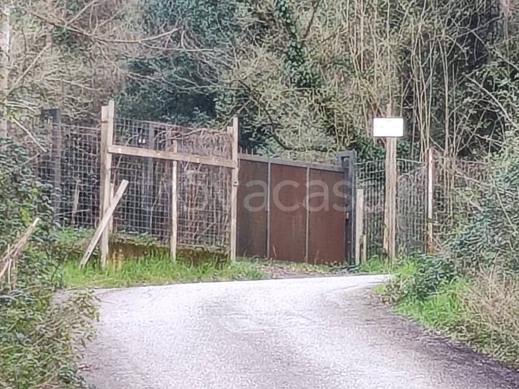 immagine annuncio 3 di 8