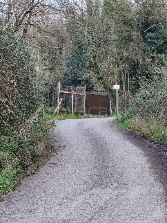 immagine annuncio 4 di 8