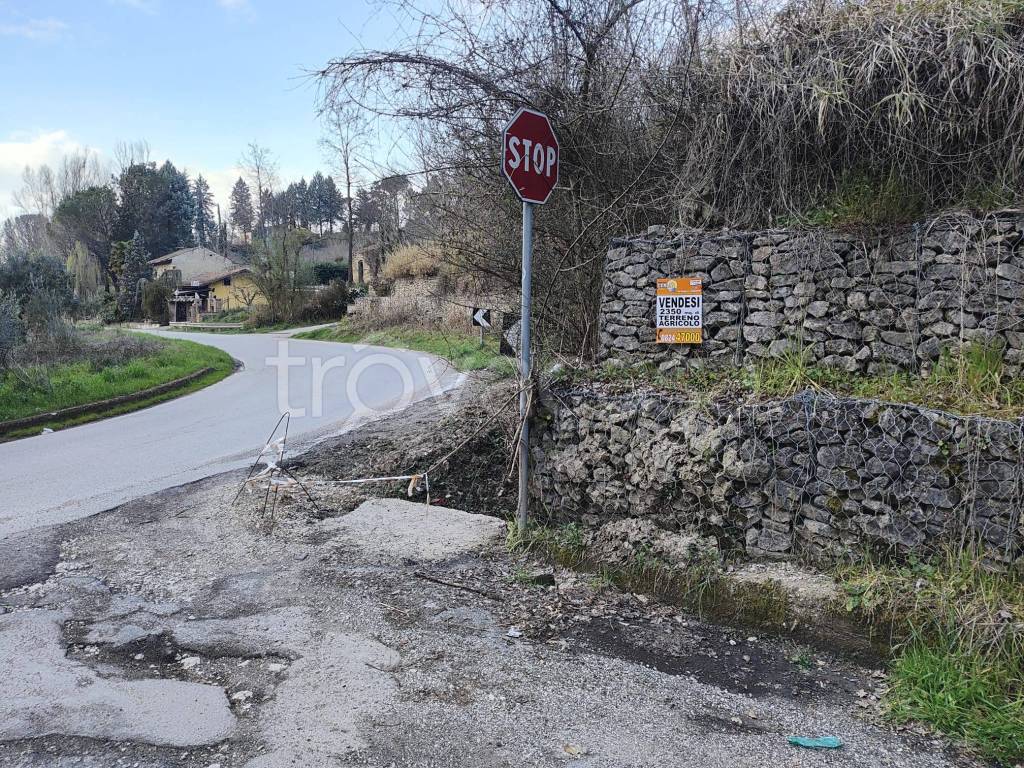 immagine annuncio 7 di 8