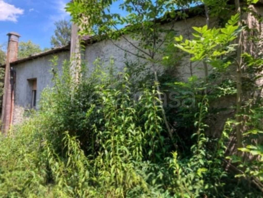 immagine annuncio 2 di 12