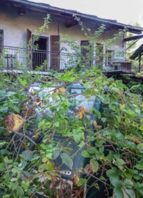 immagine annuncio 8 di 12