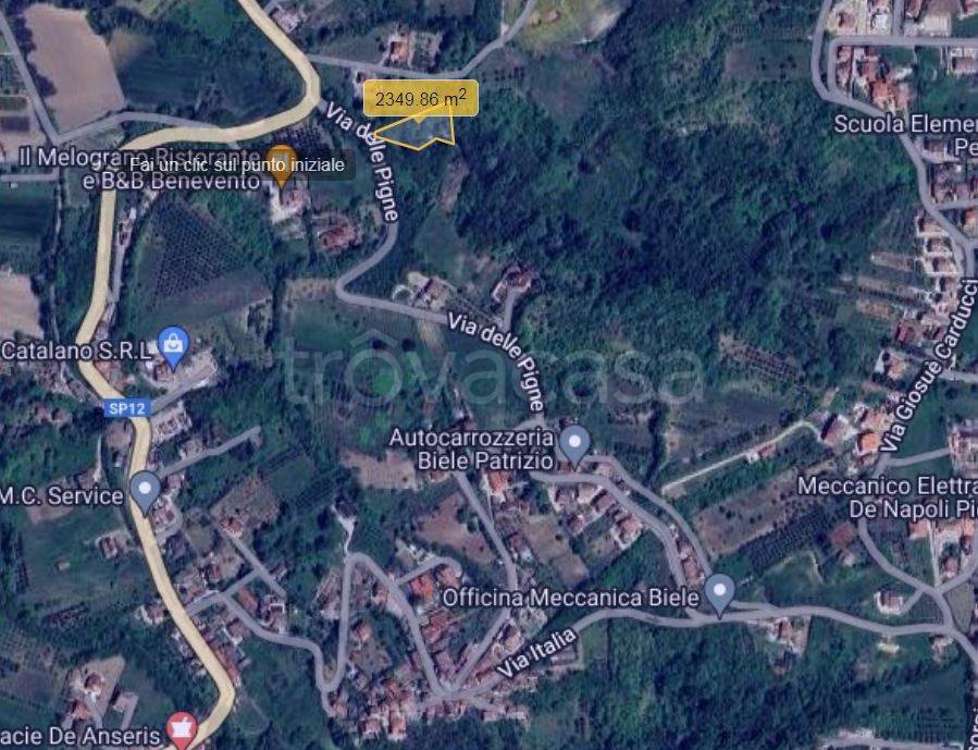 immagine annuncio 2 di 8