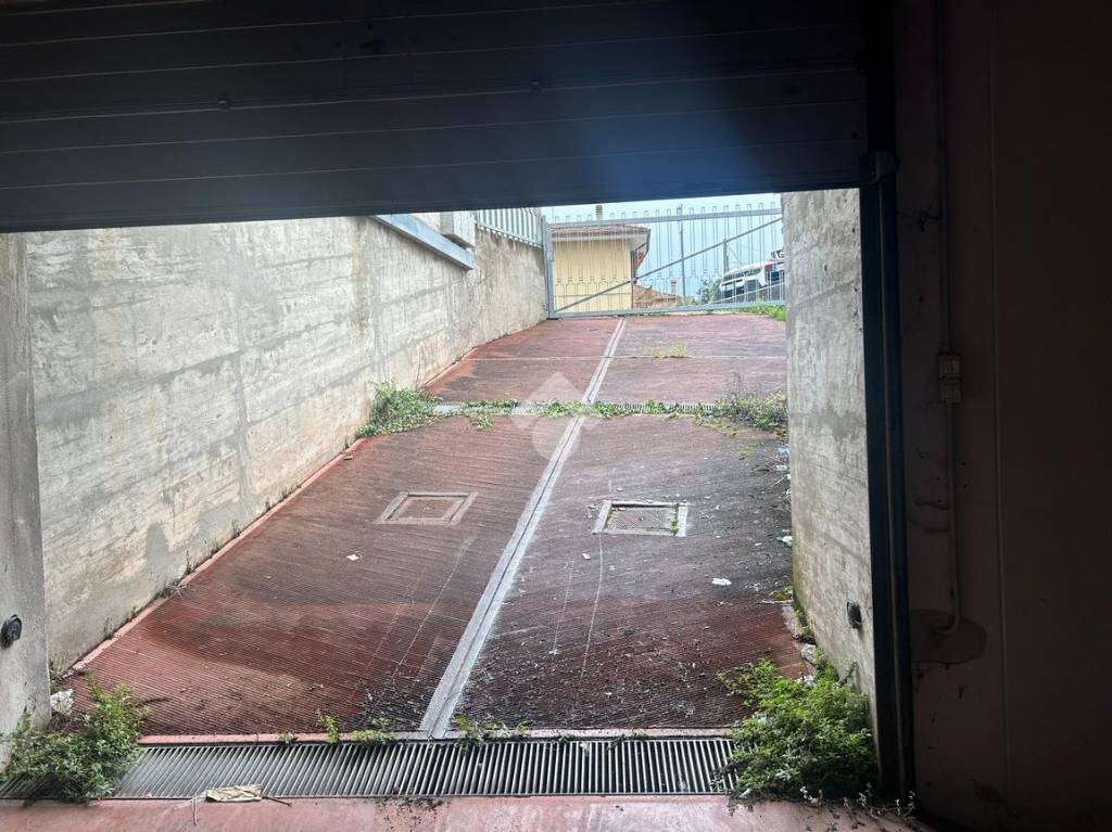 immagine annuncio 8 di 12