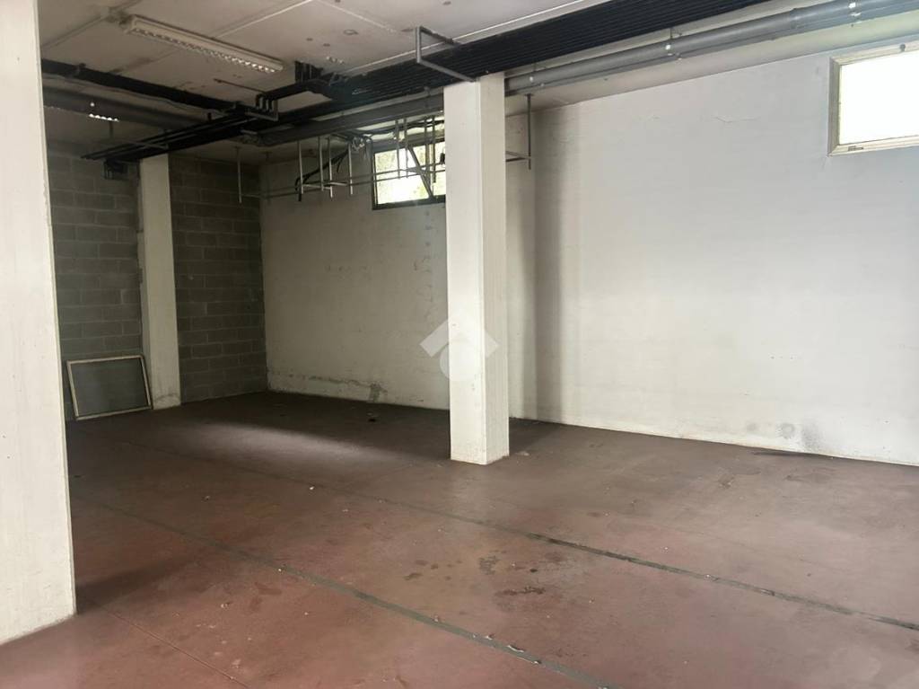 immagine annuncio 11 di 12