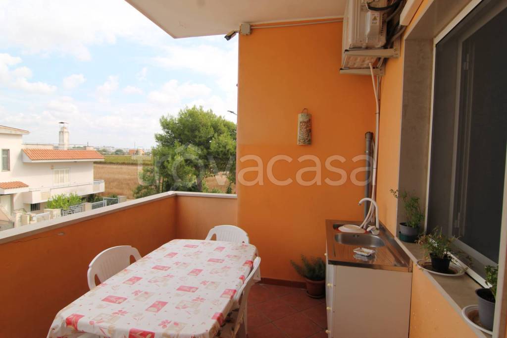 immagine annuncio 9 di 15