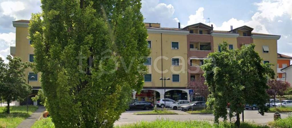 immagine annuncio 10 di 15