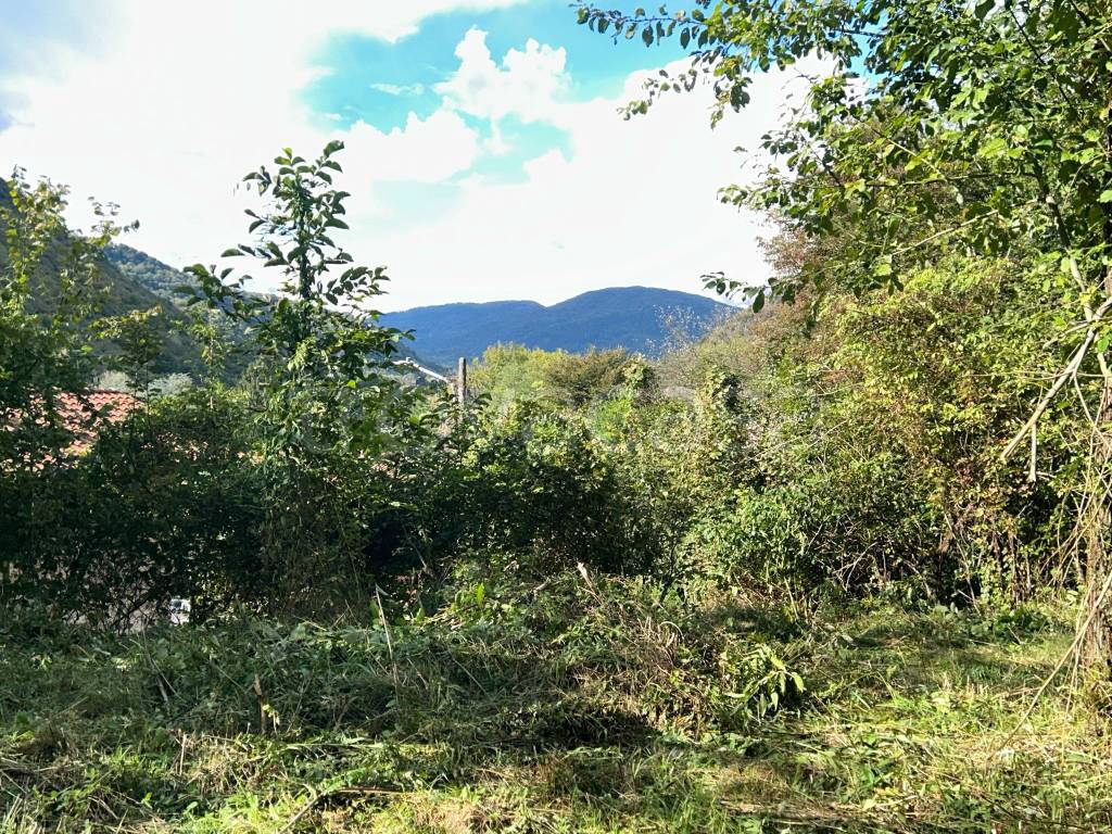 immagine annuncio 5 di 14