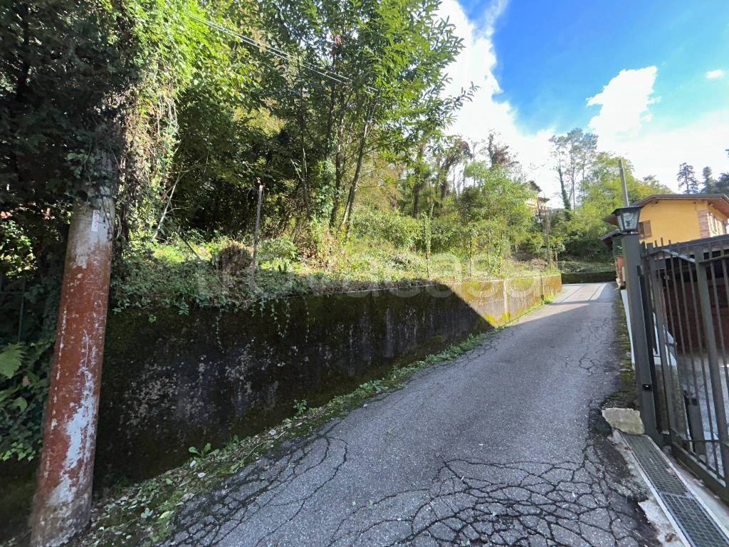 immagine annuncio 9 di 14