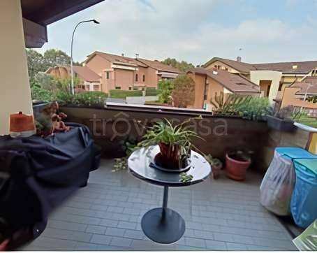 immagine annuncio 8 di 12