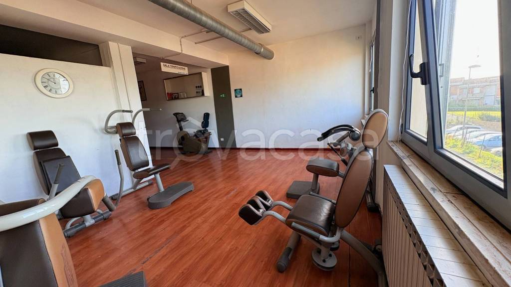 immagine annuncio 9 di 15