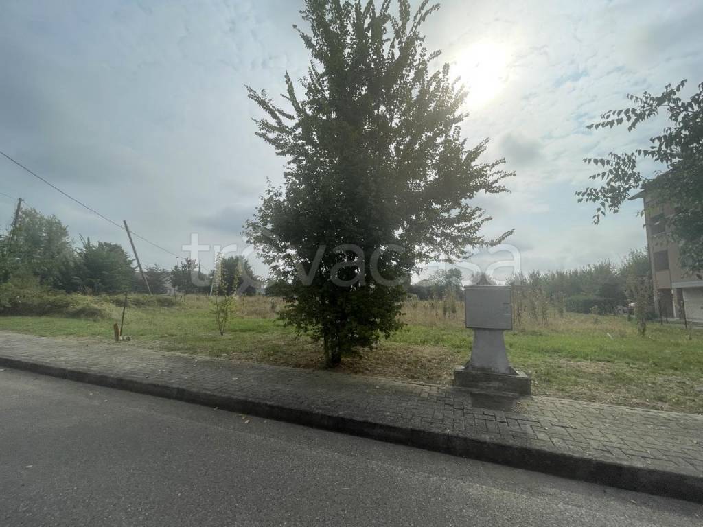 immagine annuncio 3 di 4