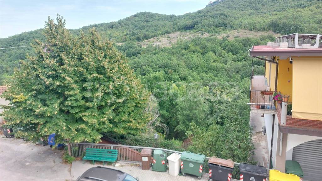 immagine annuncio 12 di 14