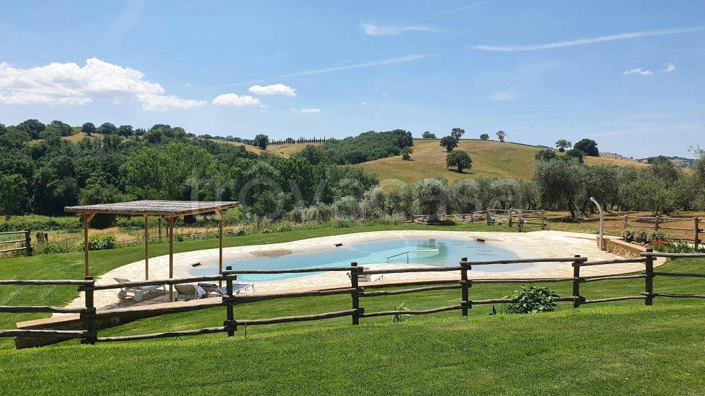 immagine annuncio 1 di 8
