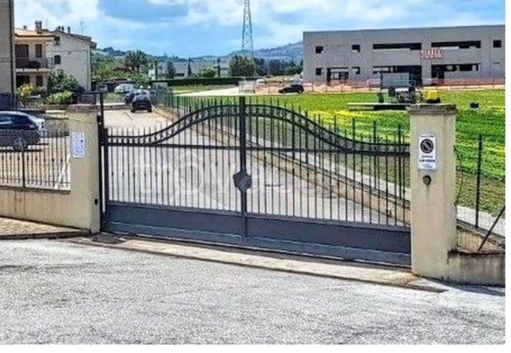 immagine annuncio 2 di 11