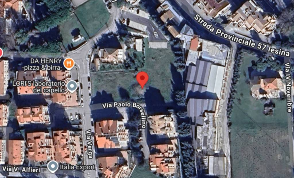 immagine annuncio 2 di 11