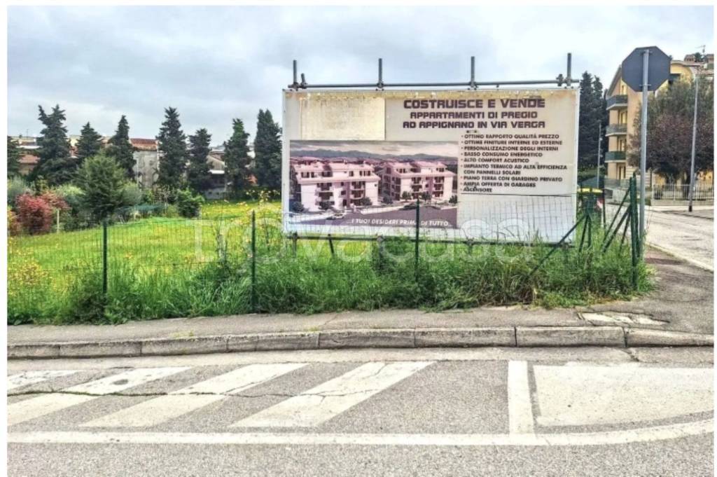 immagine annuncio 6 di 11