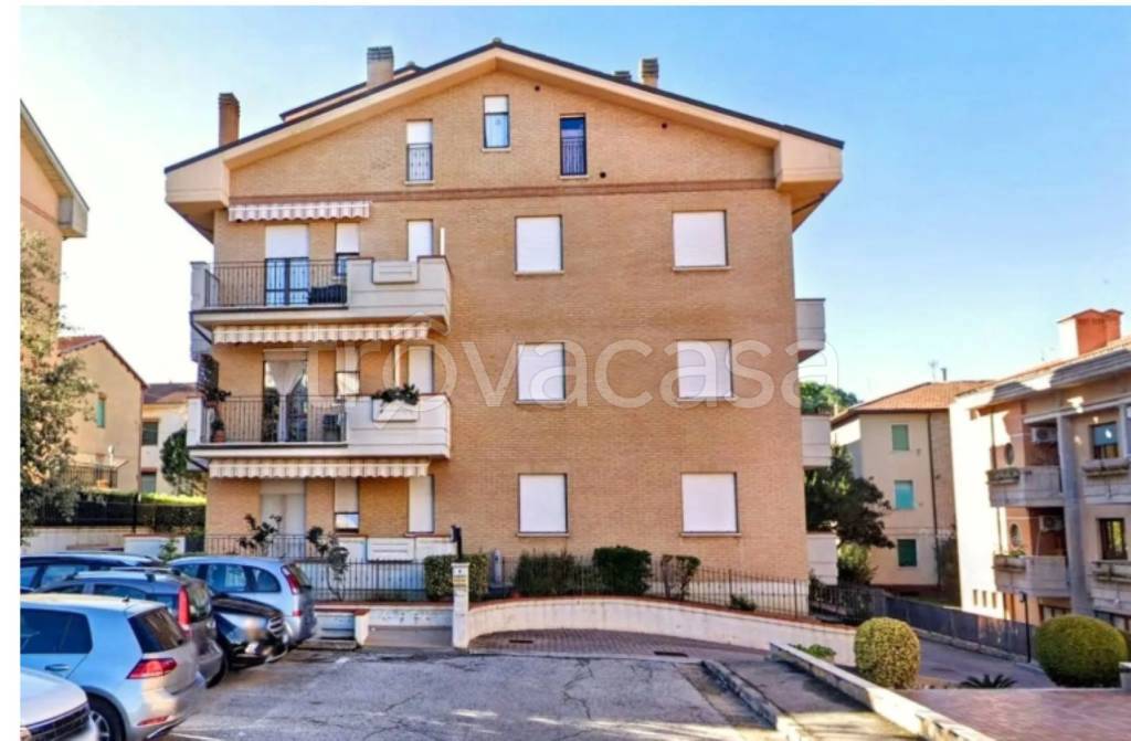 immagine annuncio 2 di 11