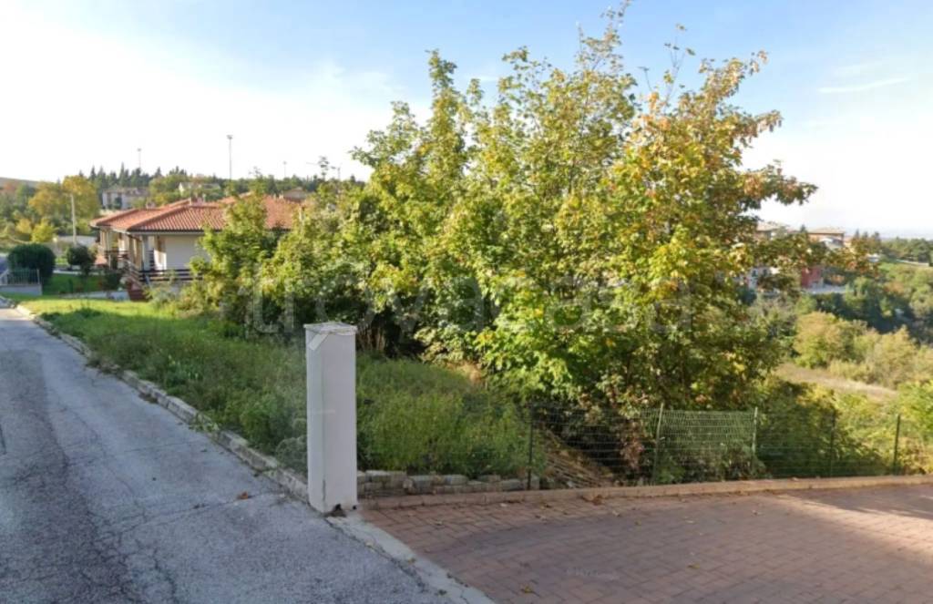 immagine annuncio 3 di 11