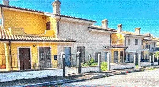 immagine annuncio 5 di 14