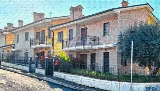 immagine annuncio 11 di 14