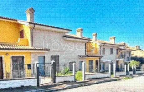 immagine annuncio 5 di 13