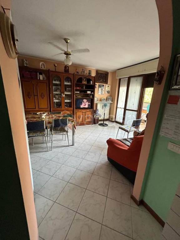 immagine annuncio 4 di 14