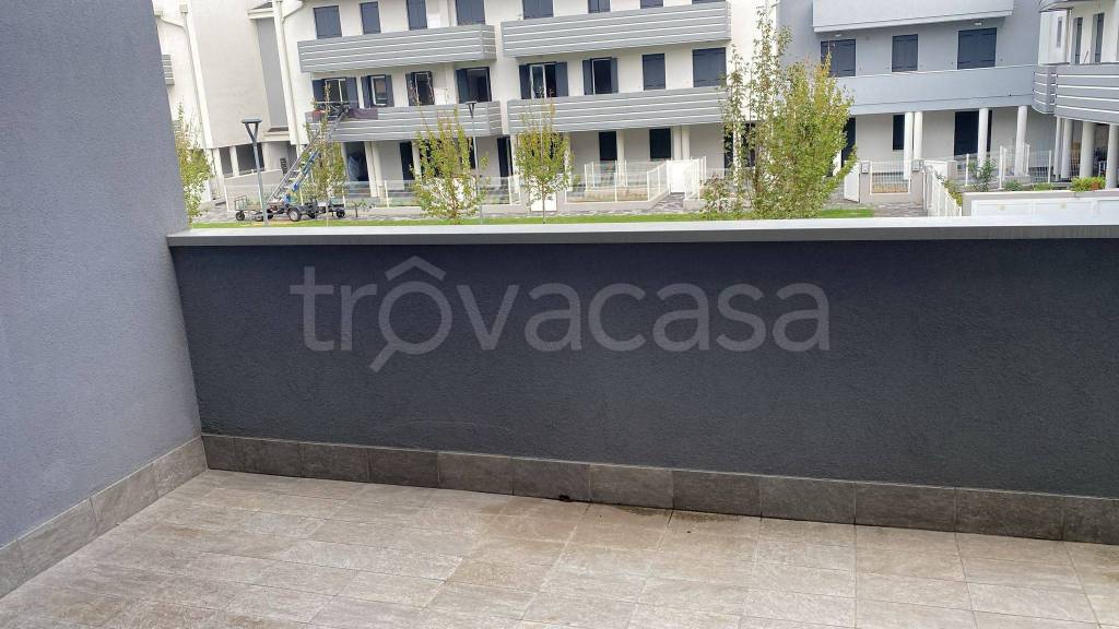 immagine annuncio 1 di 8