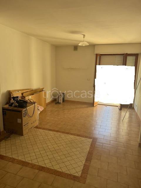 immagine annuncio 2 di 8