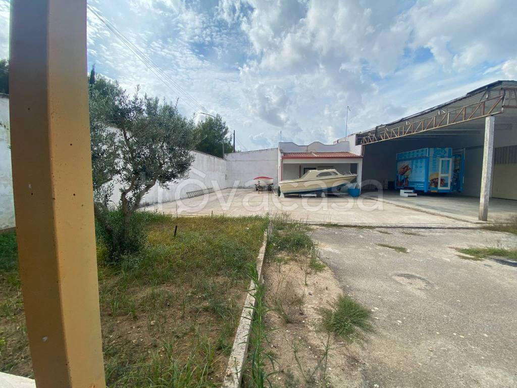 immagine annuncio 3 di 14