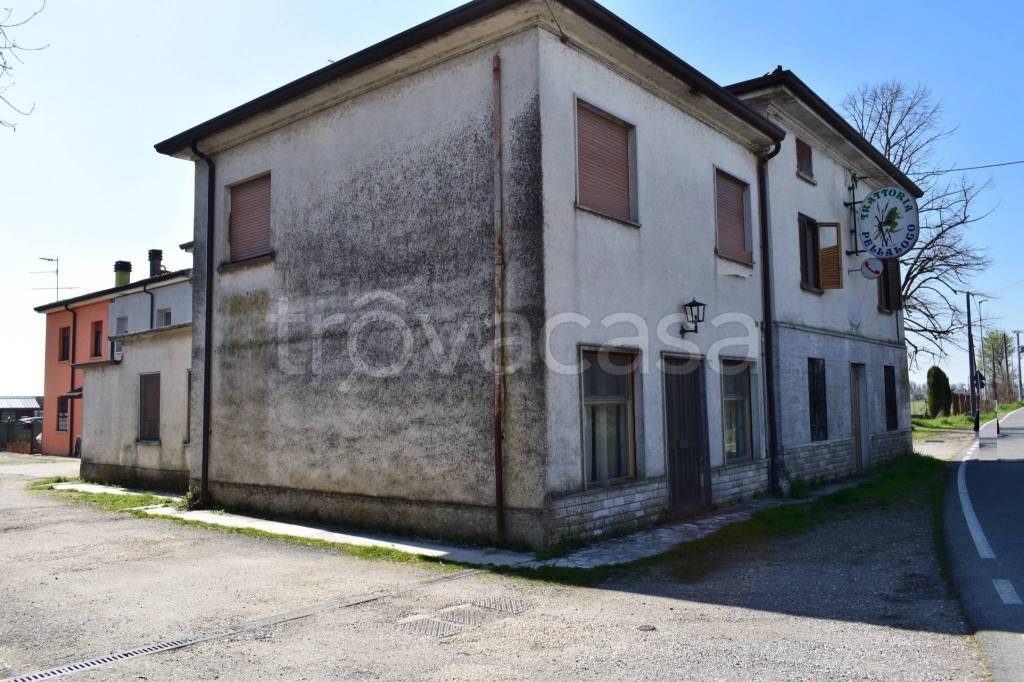 immagine annuncio 9 di 11