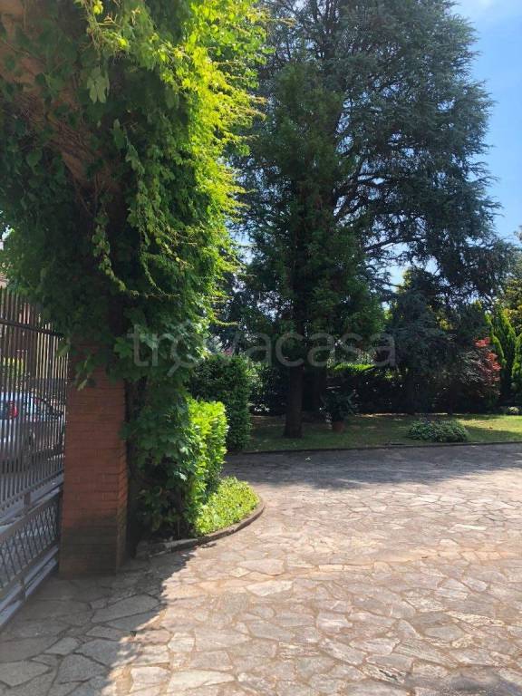 immagine annuncio 9 di 11