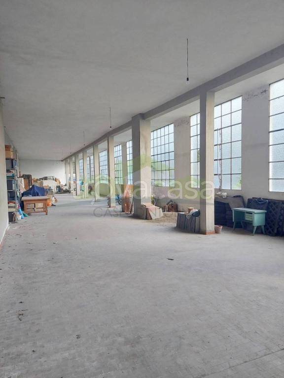 immagine annuncio 2 di 8