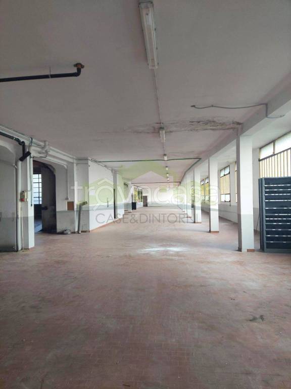 immagine annuncio 4 di 8