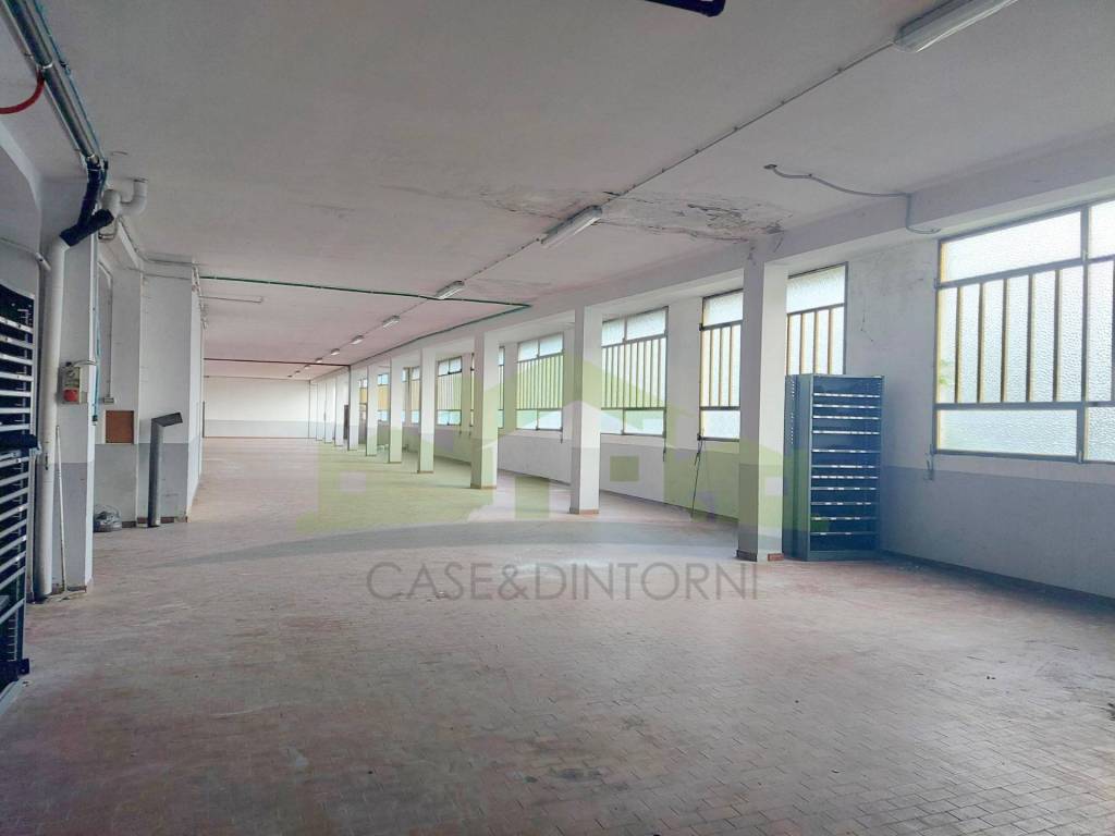 immagine annuncio 5 di 8