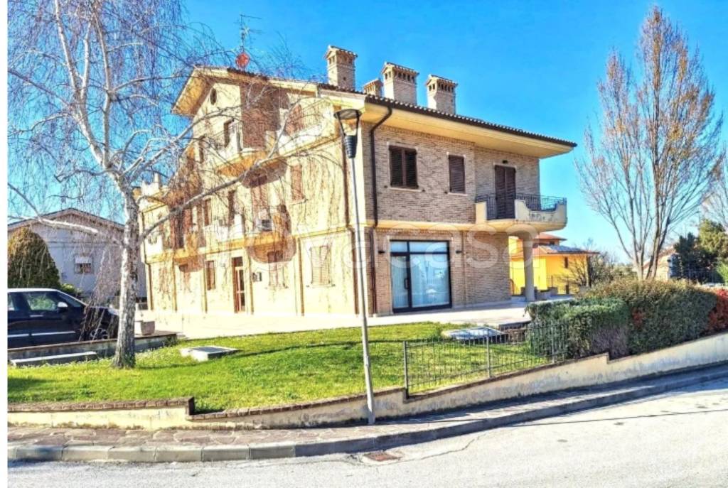 immagine annuncio 2 di 12