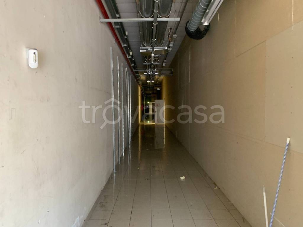 immagine annuncio 5 di 9
