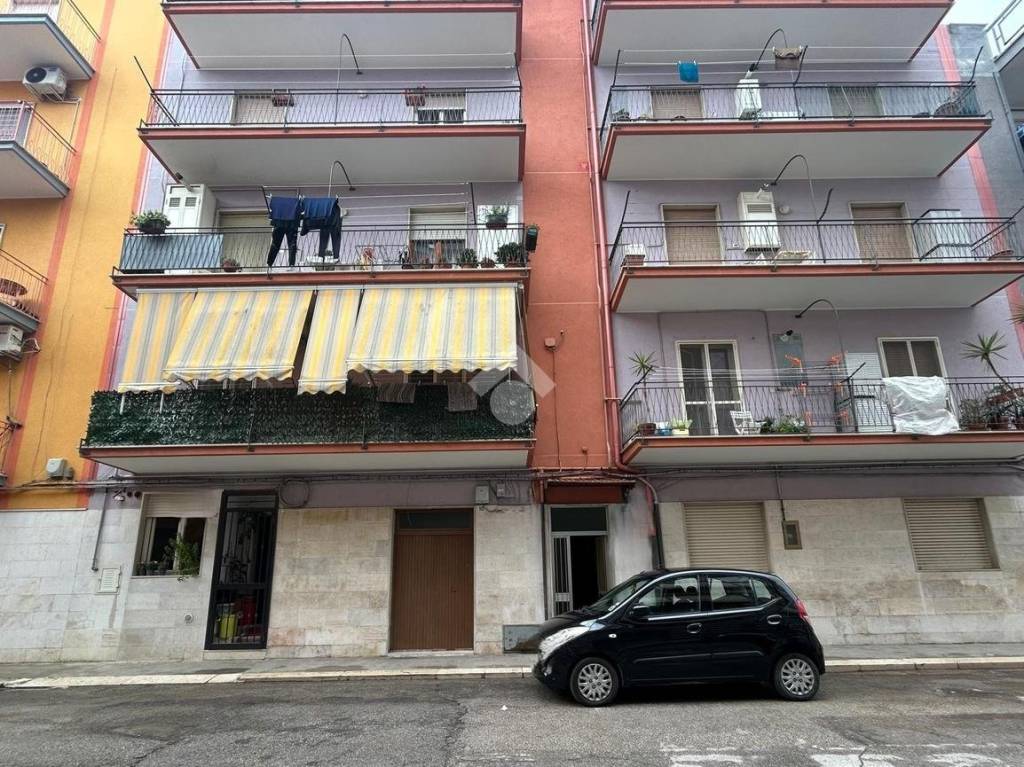 immagine annuncio 7 di 8