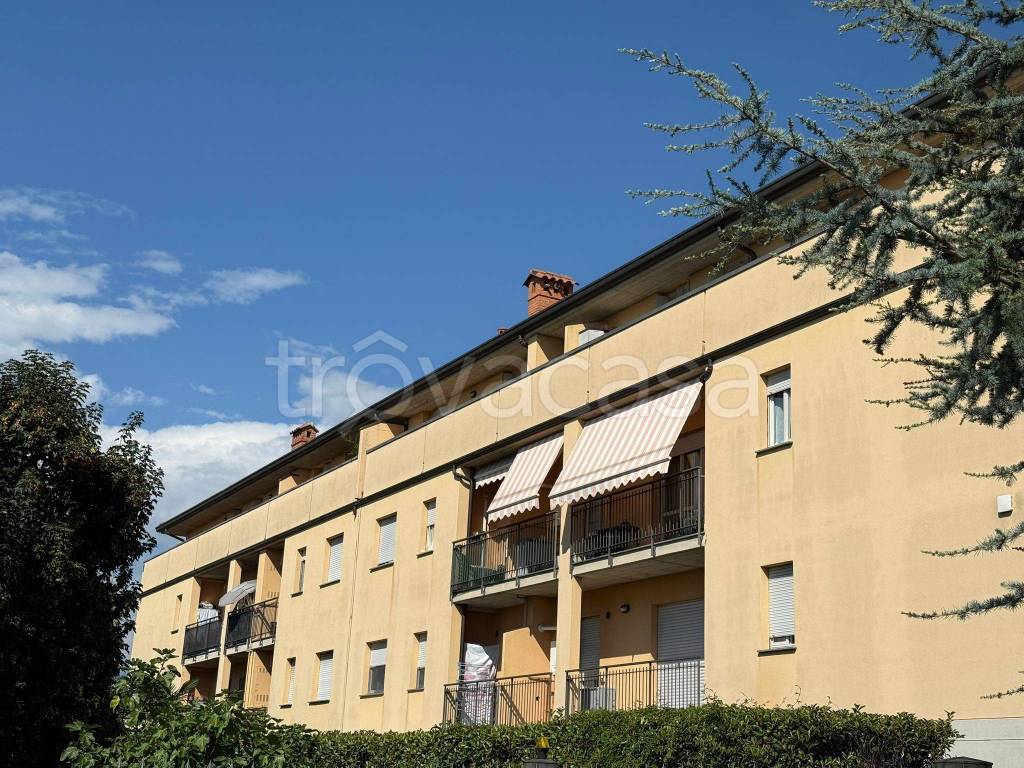 immagine annuncio 13 di 14