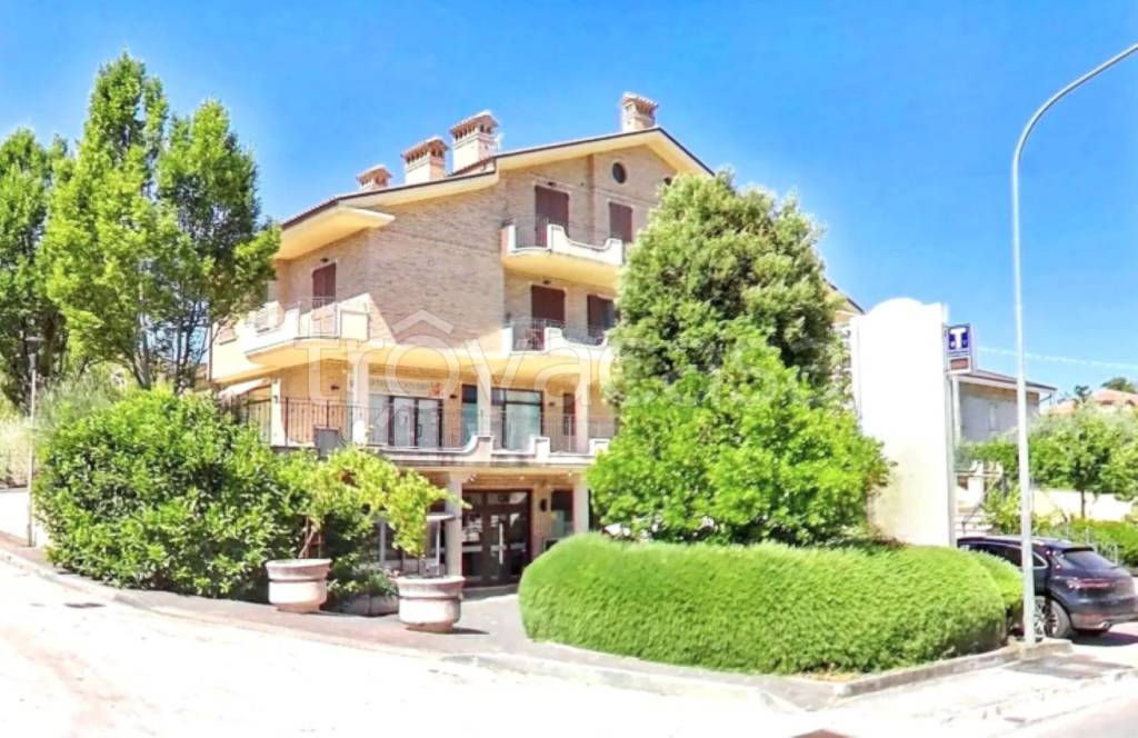 immagine annuncio 3 di 13